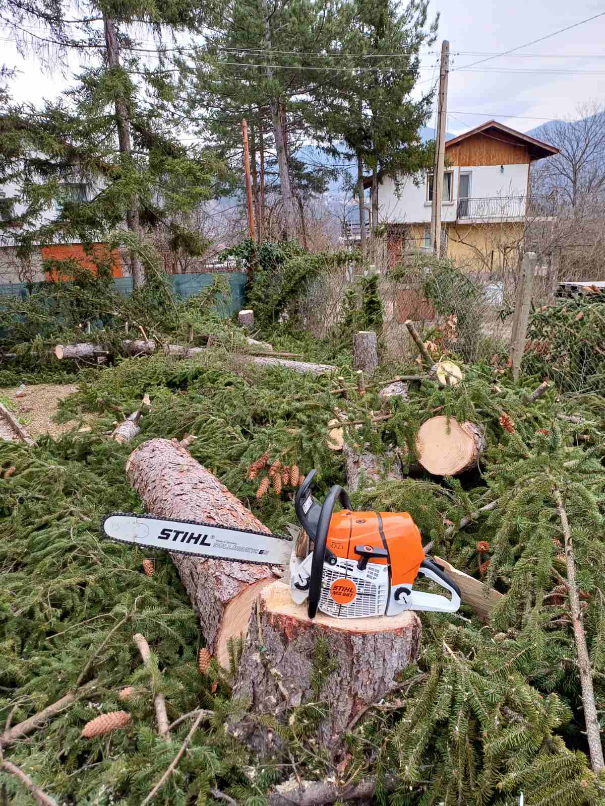 STIHL пън